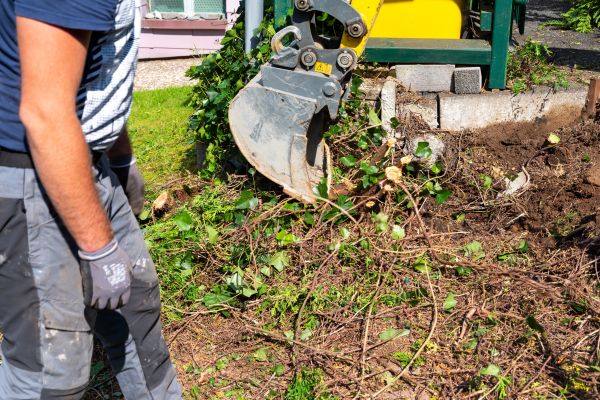 Hedge Removal Service in Granger